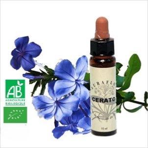 FLEUR DE BACH CERATO