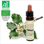 FLEUR DE BACH HOLLY