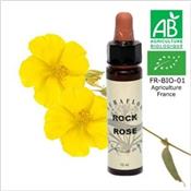 FLEUR DE BACH ROCK ROSE