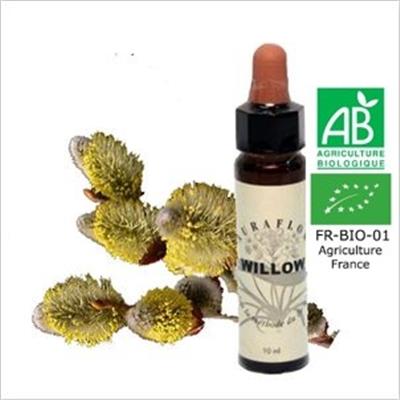 FLEUR DE BACH WILLOW