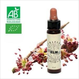 FLEUR DE BACH ELM