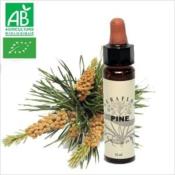 FLEUR DE BACH PINE