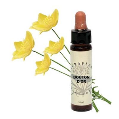 ELIXIR FLORAL BOUTON D'OR