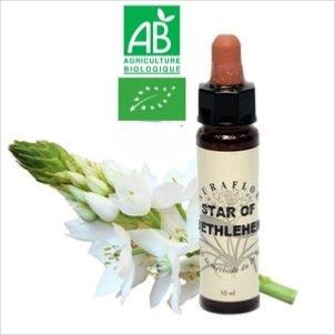 FLEUR DE BACH STAR OF BETHLEEM