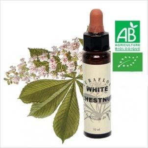 FLEUR DE BACH WHITE CHESTNUT
