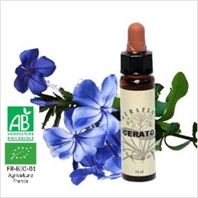 FLEUR DE BACH CERATO