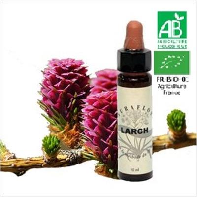 FLEUR DE BACH LARCH