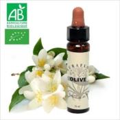 FLEUR DE BACH OLIVE