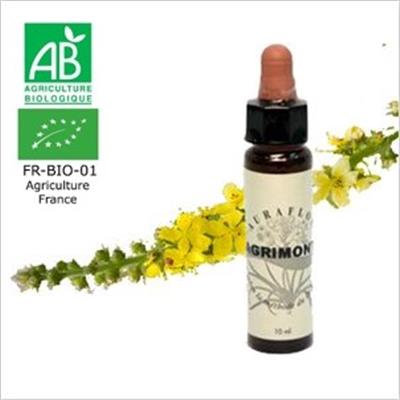 FLEUR DE BACH AGRIMONY