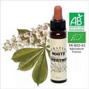 FLEUR DE BACH WHITE CHESTNUT