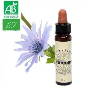 FLEUR DE BACH CHICORY