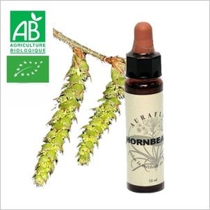 FLEUR DE BACH HORNBEAM