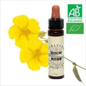 FLEUR DE BACH ROCK ROSE