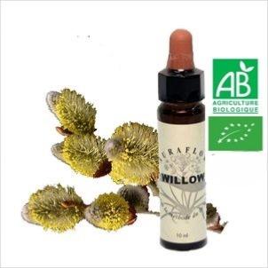 FLEUR DE BACH WILLOW