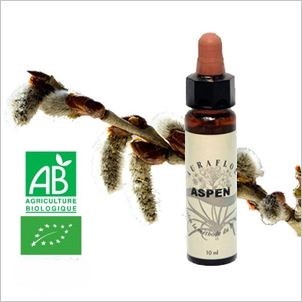 FLEUR DE BACH ASPEN