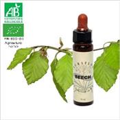 FLEUR DE BACH BEECH