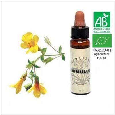 FLEUR DE BACH MIMULUS