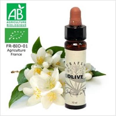 FLEUR DE BACH OLIVE