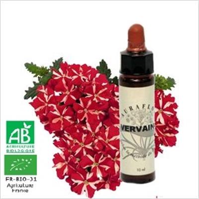 FLEUR DE BACH VERVAIN