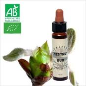 FLEUR DE BACH CHESTNUT BUD