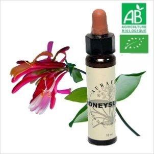 FLEUR DE BACH HONEYSUCKLE