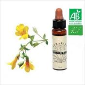 FLEUR DE BACH MIMULUS