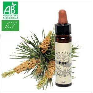 FLEUR DE BACH PINE