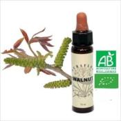 FLEUR DE BACH WALNUT