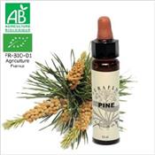 FLEUR DE BACH PINE