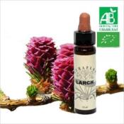 FLEUR DE BACH LARCH