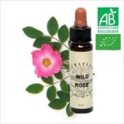 FLEUR DE BACH WILD ROSE