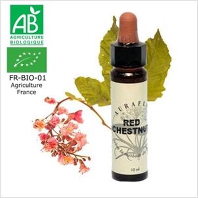 FLEUR DE BACH RED CHESTNUT