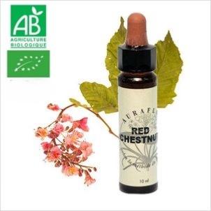 FLEUR DE BACH RED CHESTNUT