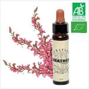 FLEUR DE BACH HEATHER