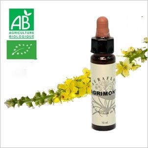 FLEUR DE BACH AGRIMONY