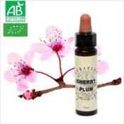 FLEUR DE BACH CHERRY PLUM