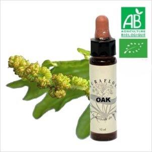 FLEUR DE BACH OAK
