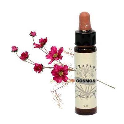 ELIXIR FLORAL COSMOS