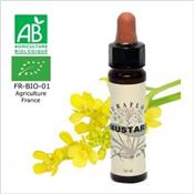 FLEUR DE BACH MUSTARD