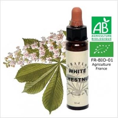 FLEUR DE BACH WHITE CHESTNUT