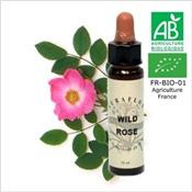 FLEUR DE BACH WILD ROSE