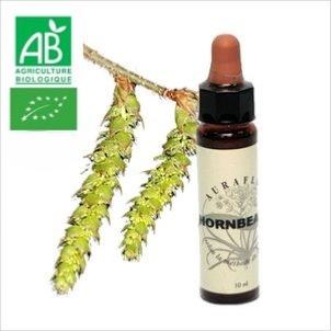 FLEUR DE BACH HORNBEAM