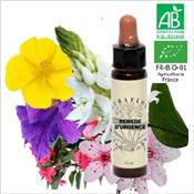 REMEDE D'URGENCE 10 ml