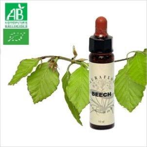 FLEUR DE BACH BEECH