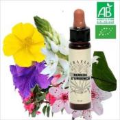 REMEDE D'URGENCE 10 ml
