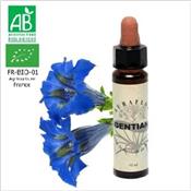 FLEUR DE BACH GENTIAN