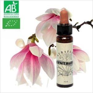FLEUR DE BACH CENTAURY