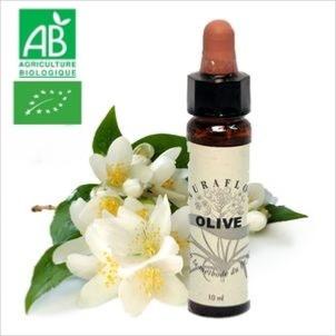 FLEUR DE BACH OLIVE