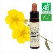 FLEUR DE BACH ROCK ROSE