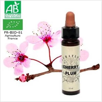 FLEUR DE BACH CHERRY PLUM